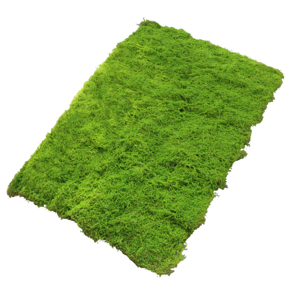 Preserved Moss Sheet - แผ่นหญ้าเทียมลายมอส สำหรับตกแต่งสวนในร่ม จัดสวนจิ๋ว งานฝีมือ DIY และฉากหลังถ่ายภาพ