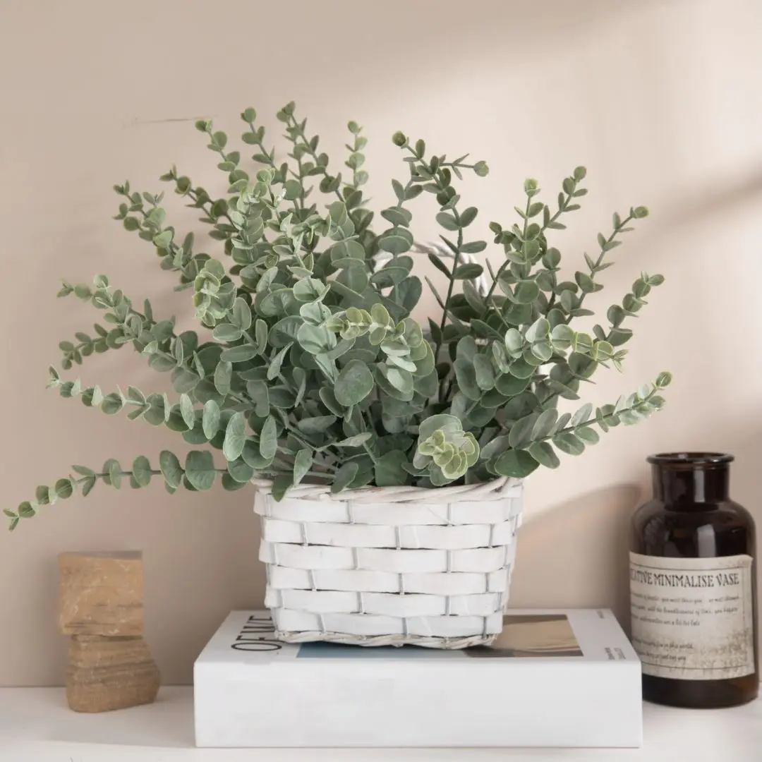 10pcs 38cm Eucalyptus ลําต้นปร - Florist Supply Bulk บทวิจารณ์และราคา