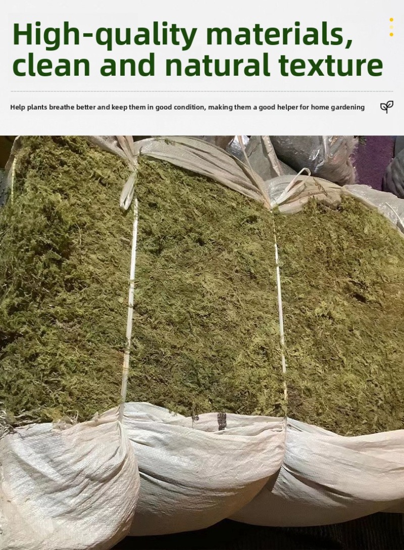 มอสแห้งธรรมชาติสำหรับปูพื้นตู้ - Preserved Moss Sheet บทวิจารณ์และราคา