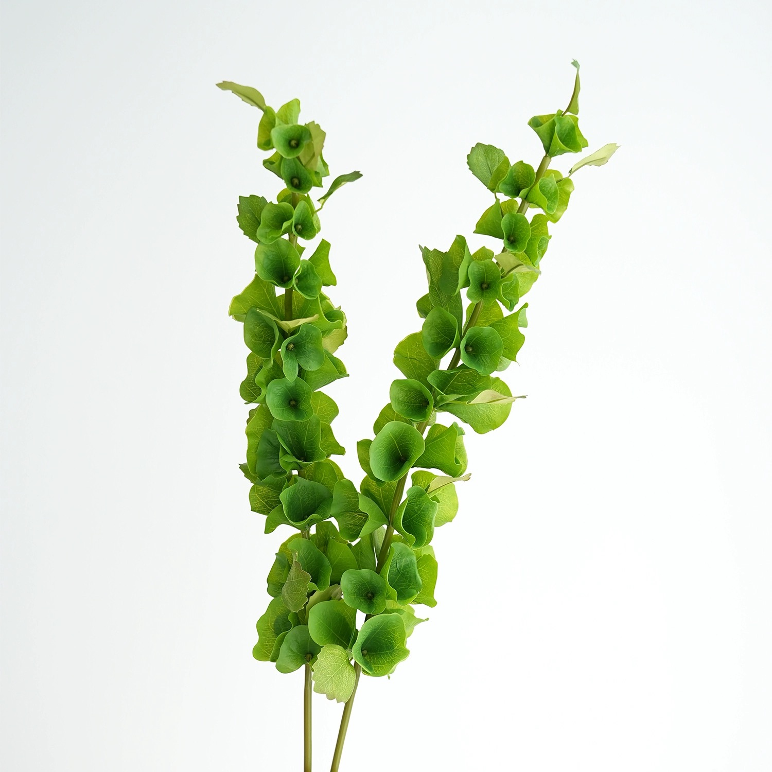 2 ชิ้นสีเขียวประดิษฐ์ดอกไม้เปล - Florist Supply Bulk บทวิจารณ์และราคา