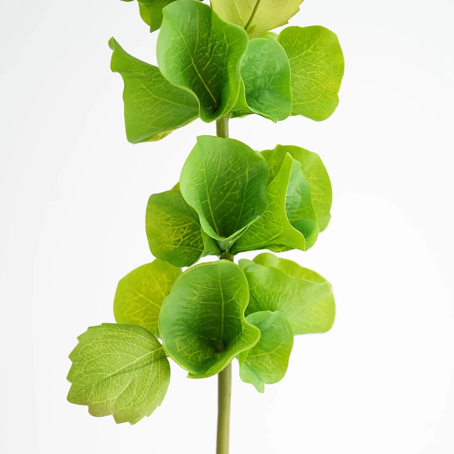 2 ชิ้นสีเขียวประดิษฐ์ดอกไม้เปล - Florist Supply Bulk บทวิจารณ์และราคา