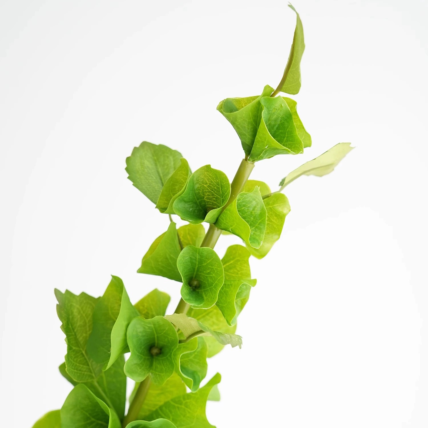 2 ชิ้นสีเขียวประดิษฐ์ดอกไม้เปล - Florist Supply Bulk บทวิจารณ์และราคา
